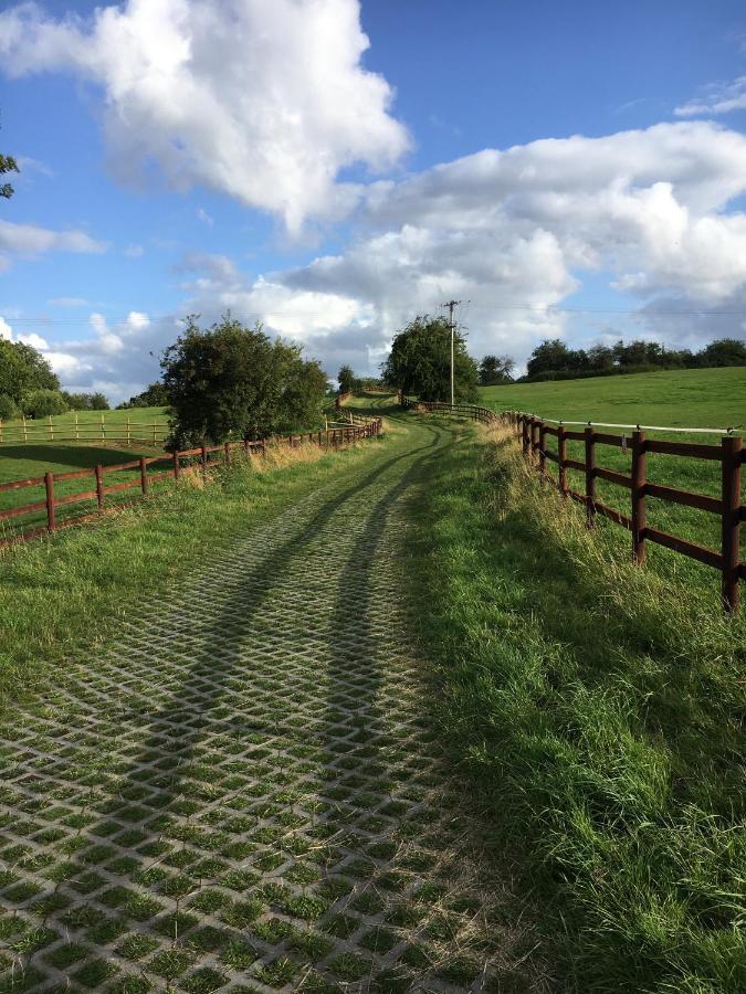 Fox View Guesthouse Bristol Zewnętrze zdjęcie